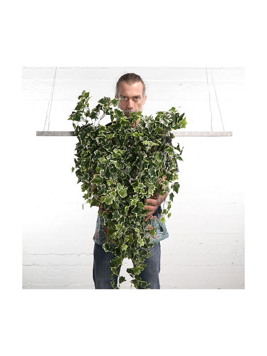 Decorative Artificial Plant Ivy Green 90cm Supergreens