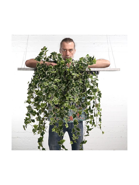 Decorative Artificial Plant Ivy Green 90cm Supergreens