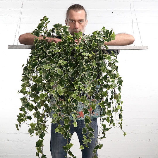 Dekorative künstliche Pflanze Efeu Grün 90cm Supergreens