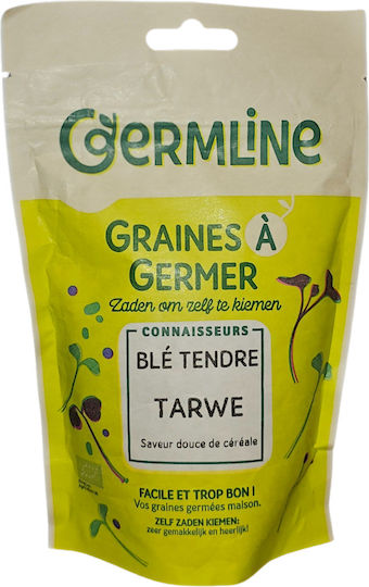 Eco Weizen Samen Keimung 200g Germline