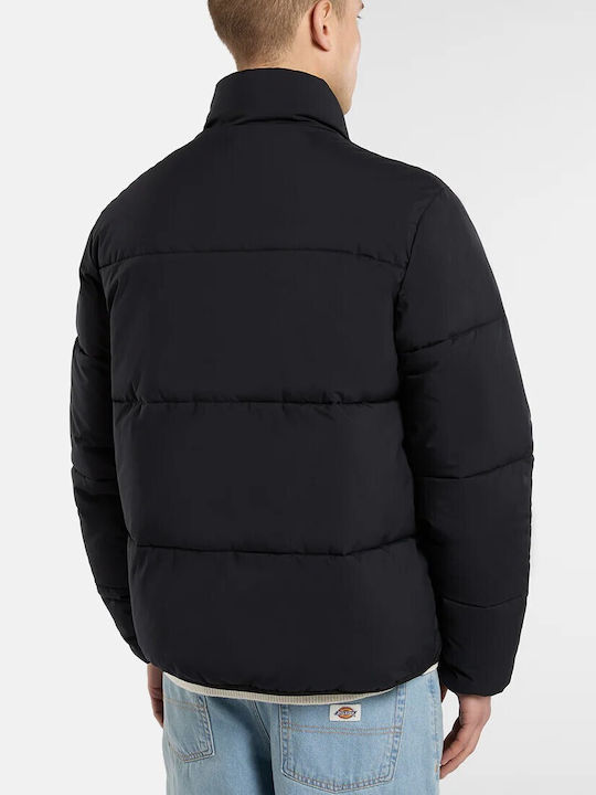 Dickies Dickies