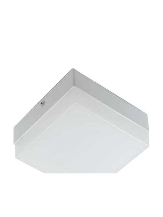 Lightplanet Pătrat Panou LED Putere 18W cu Alb Rece Lumini