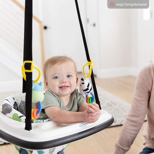 Graco Baby Jumper