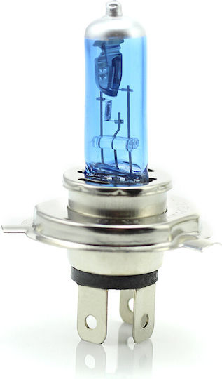 CarGuard Lampen Auto H4 Halogen Weiß 12V 55W 2Stück
