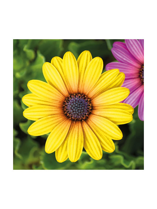 Garten Dekorative Künstliche Blumen 7,5 Cm 4 Stück Pack