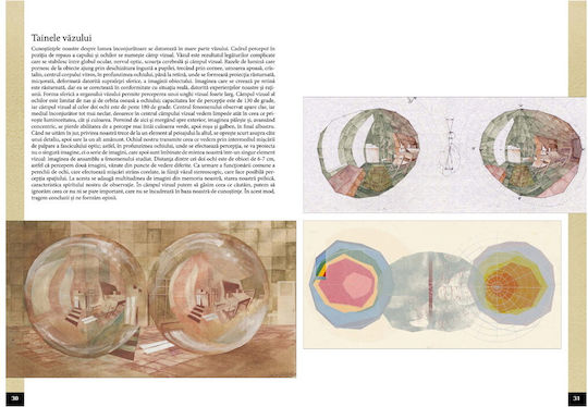 Perspectiva - Konig Frigyes