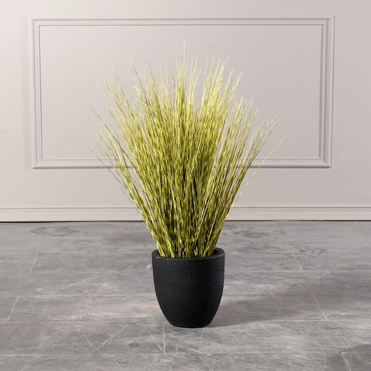 Supergreens Topf Beton 20x20x20cm.