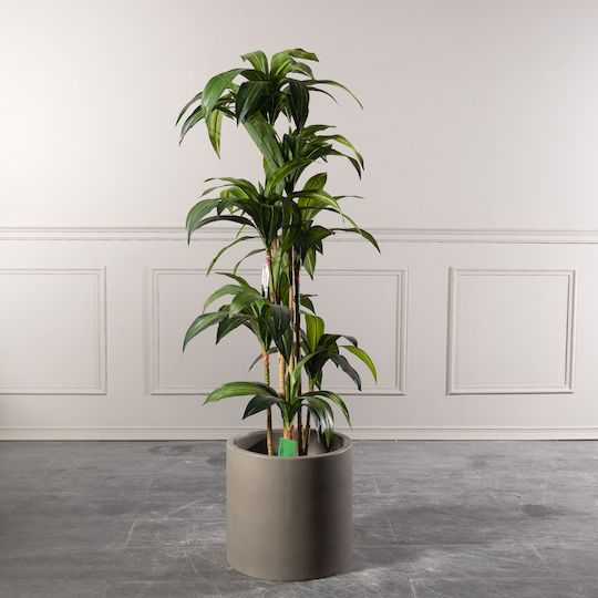 Supergreens Pot Concrete 40x40x38cm.