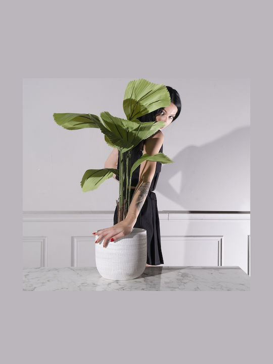 Supergreens Κασπώ Λευκό 24x24εκ.