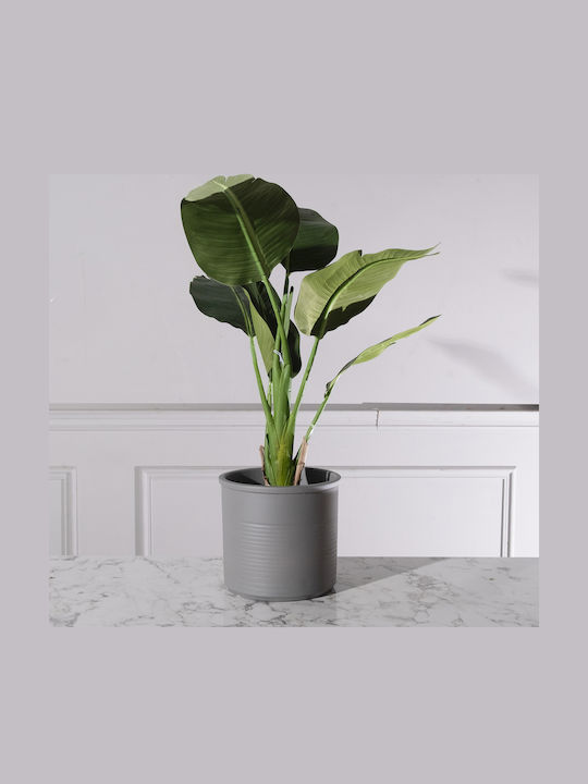 Supergreens Κασπώ Γκρι 23x23εκ.