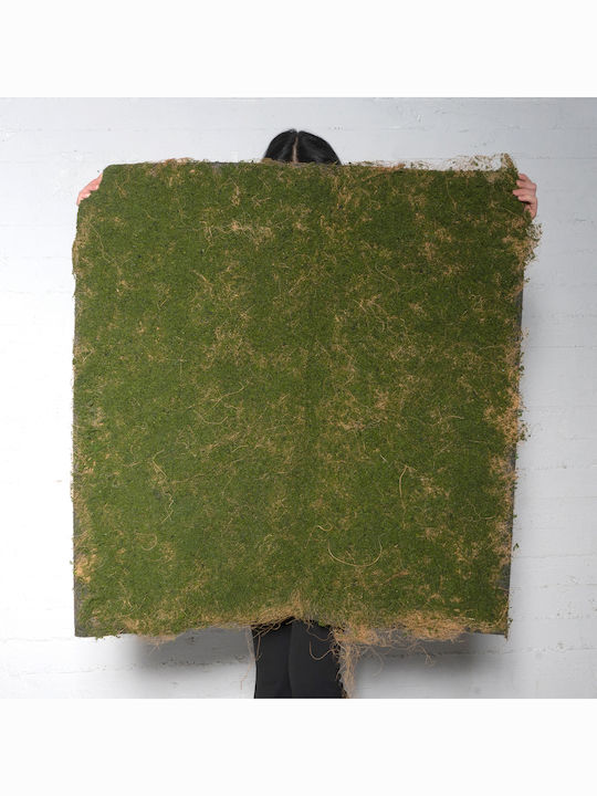 Supergreens Artificial Foliage Panel Moss Green 1x1m