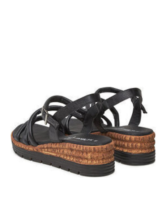 Platforme Dama Negre
