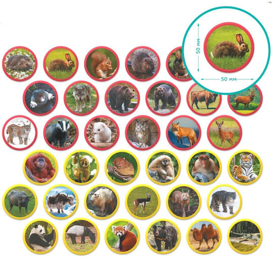Puzzle pentru Copii Dodo
