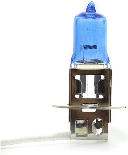 CarGuard Lămpi Autoturismului H3 Halogen Alb 12V 100W 2buc