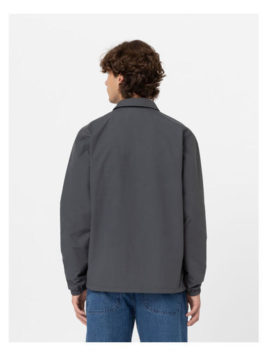 Dickies