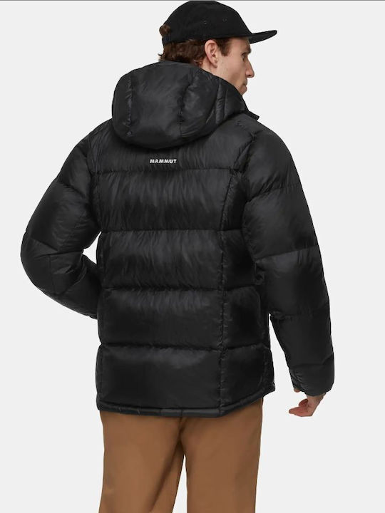 Mammut Mammut