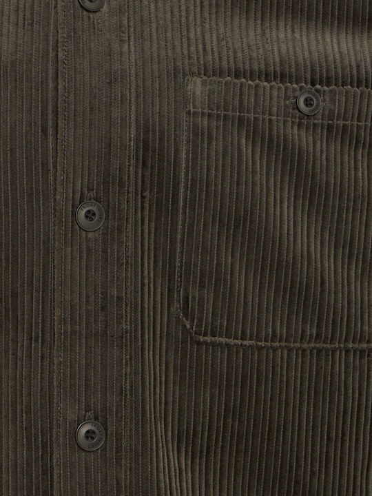 Hose Khaki