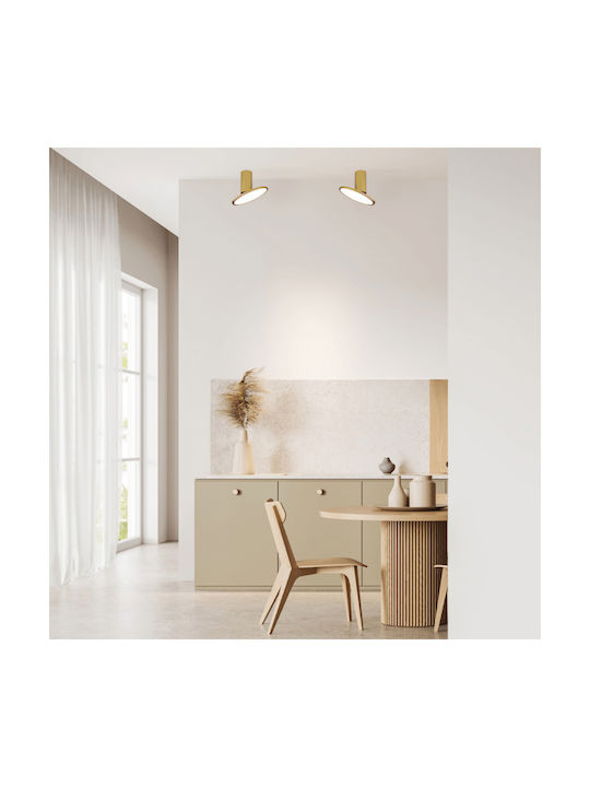 Zambelis Lights LED Warm White Spot in Gold Color