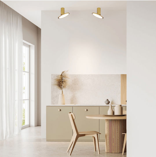 Zambelis Lights LED Warm White Spot in Gold Color