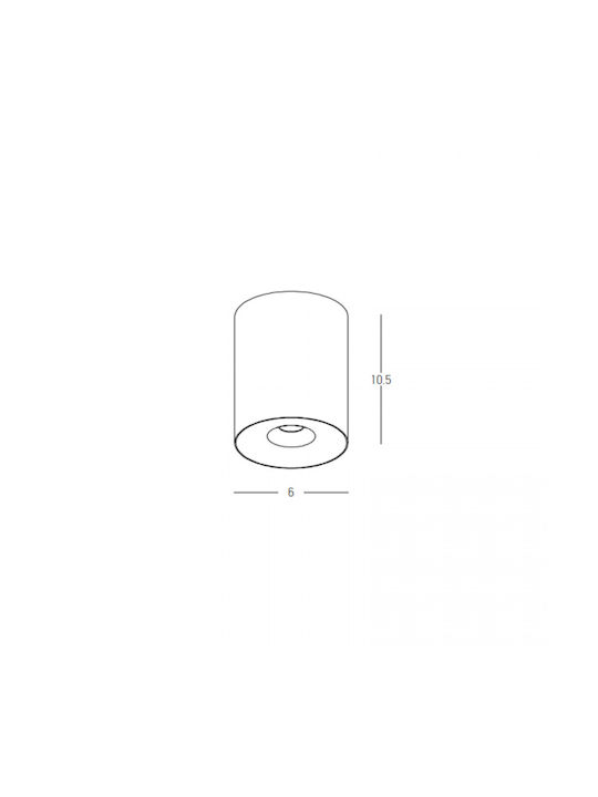 Zambelis Lights Outdoor Ceiling Spot with Integrated LED in Silver Color 25297