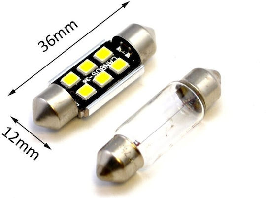 Heleco Λάμπες Αυτοκινήτου & Μοτοσυκλέτας C5W Canbus LED 6000K Ψυχρό Λευκό 3W 2τμχ