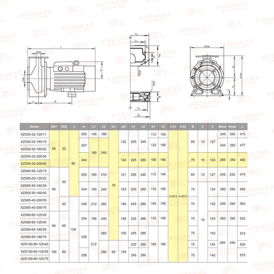 Leo Group XSZ 50-32-200/4.0 Electric Surface Water Pump Centrifugal 5.5hp Three-Phase