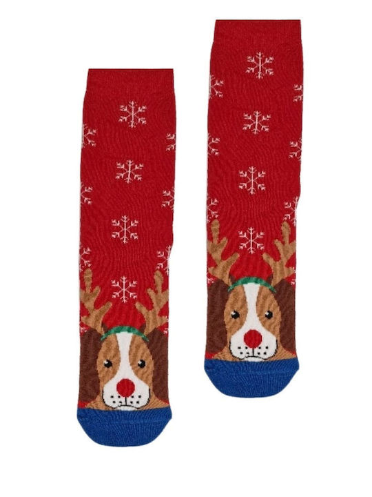 Ekmen Christmas Socks Multicolored
