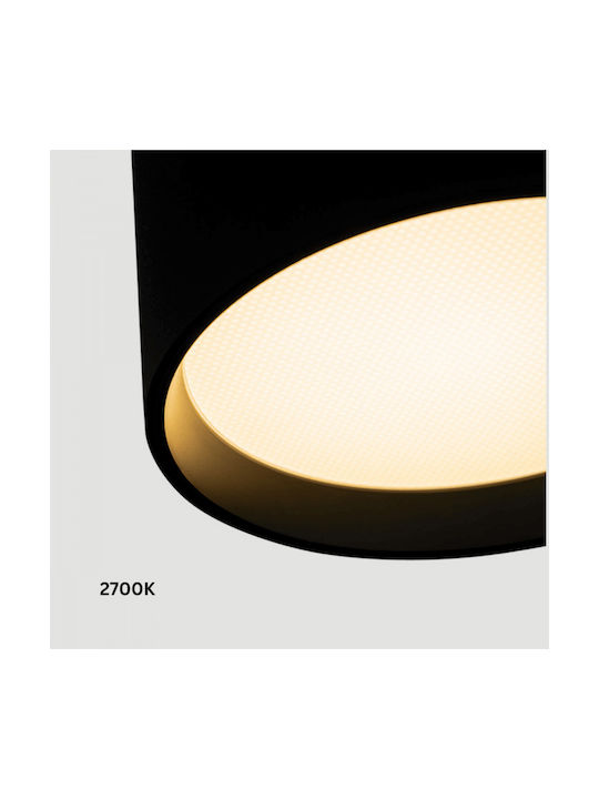 Zambelis Lights LED Warm to Cool White Spot in Black Color