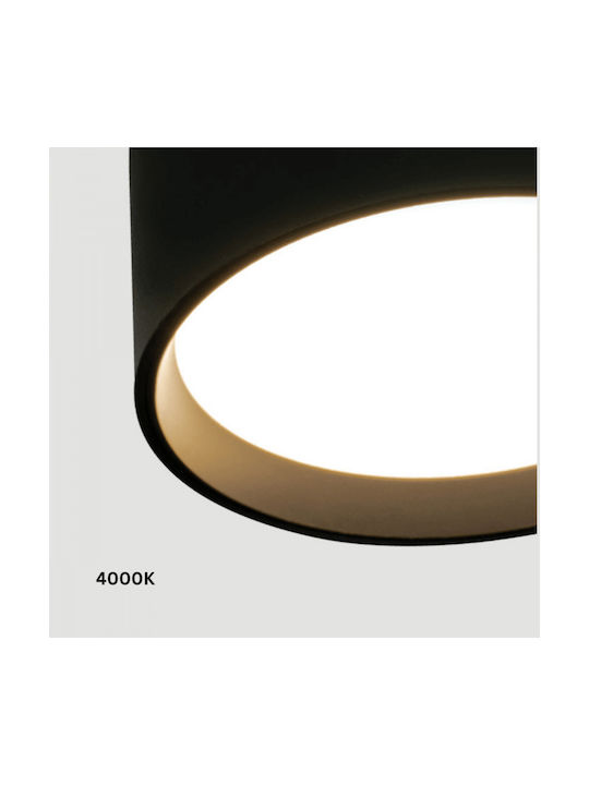 Zambelis Lights LED Warm to Cool White Spot in Black Color
