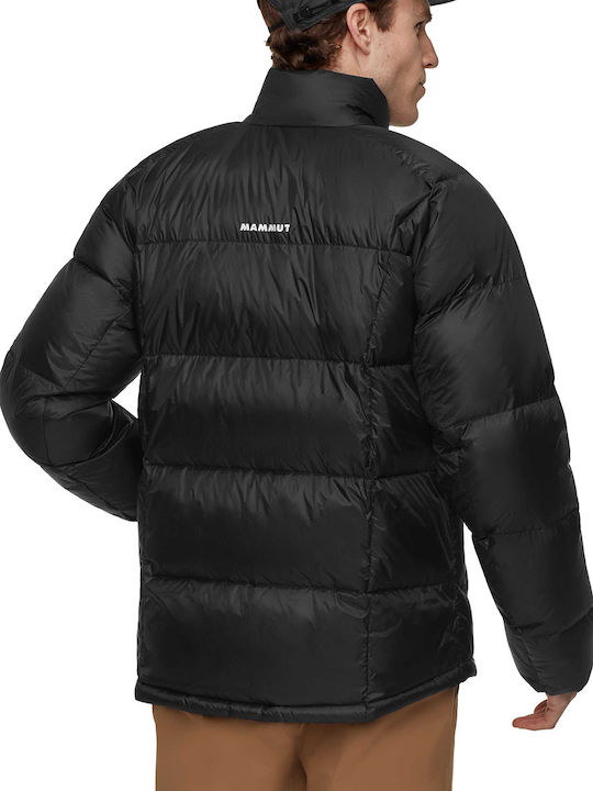 Mammut Mammut