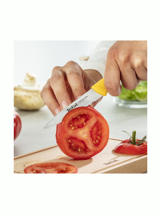 Tefal Colorfood Комплект Ножове от Неръждаема Стомана 3 Бройки