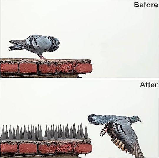 ForHome Repellent Spikes Birds
