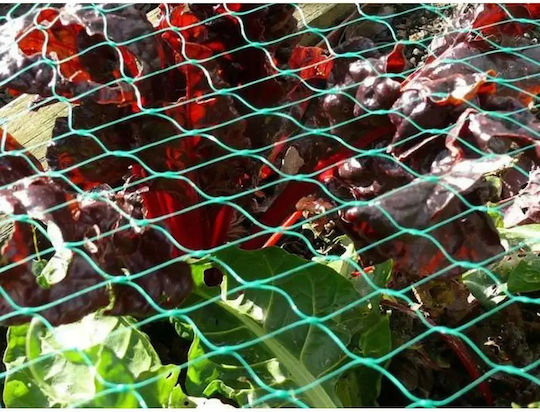Verk Group Repellent Net Birds 4x6m