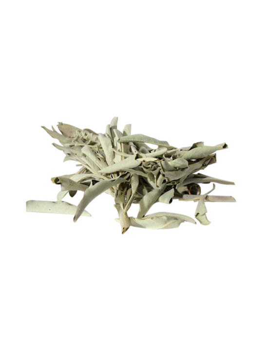 Purification White Sage Smudge Leaves White Sage Leaves 30g