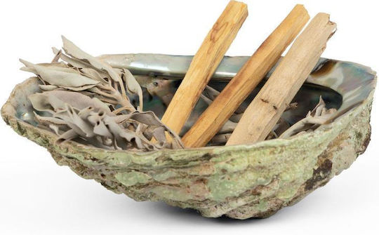 Purification White Sage Smudge Leaves White Sage Leaves 30g