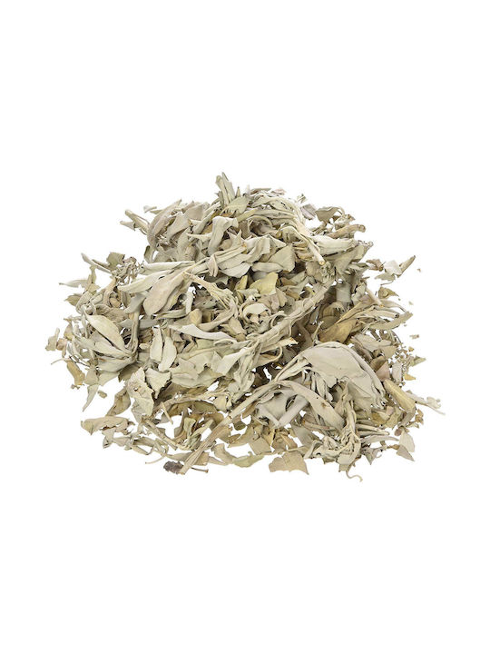 Purification White Sage Smudge Leaves White Sage Leaves 30g