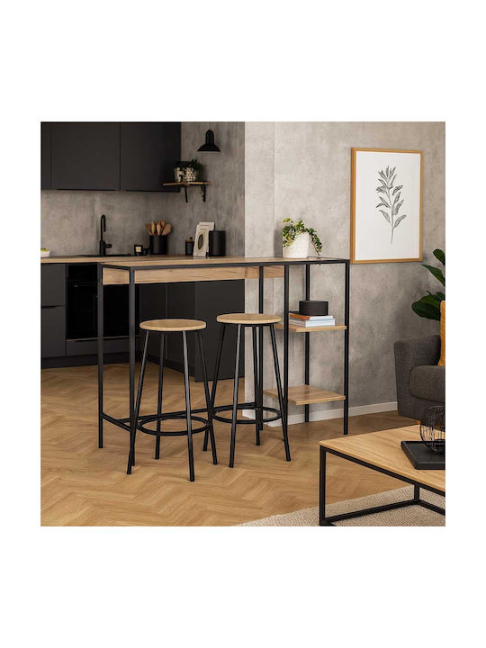 Stool Bar with Backrest Metallic Black 38x38x70cm