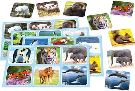 Brettspiel Zoo Lotto 3+ Jahre (GER) Schmidt Spiele