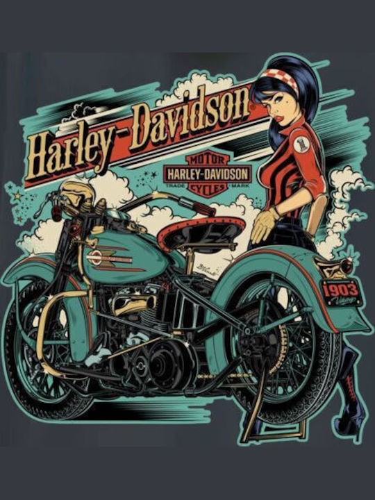 Pop Culture Harley-davidson & Motorcycles Pop Culture Harley-davidson & Motorcycles