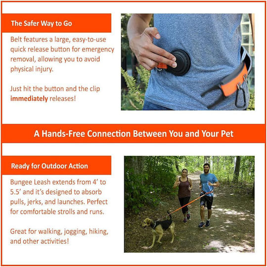 Penn Plax Dog Leash/Lead Strap in Orange color