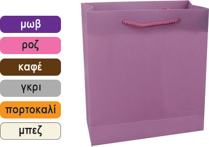 AGC Geantă Din Plastic Pentru Cadou 23x10x27cm 12 Bucăți (Culori Diverse)