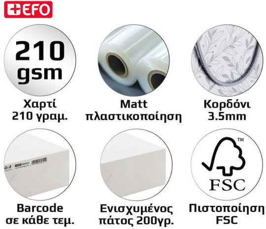 +Efo Τσάντα για Δώρο Πολύχρωμη 18x22εκ. 12τμχ
