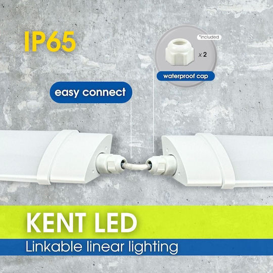 Vivalux Commercial Linear LED Ceiling Light 18W Natural White IP65 60cm
