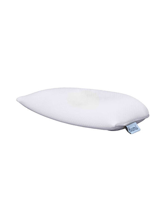Orthia 2401039