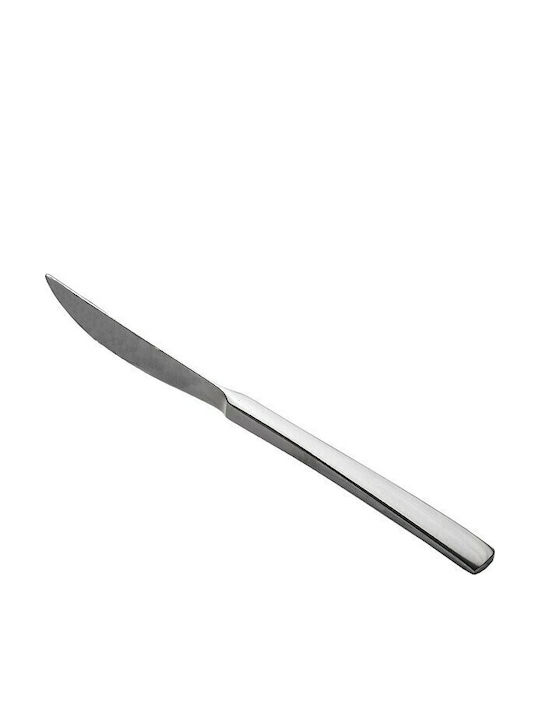 GTSA Atlanta Knife Food from Stainless Steel 23.1cm