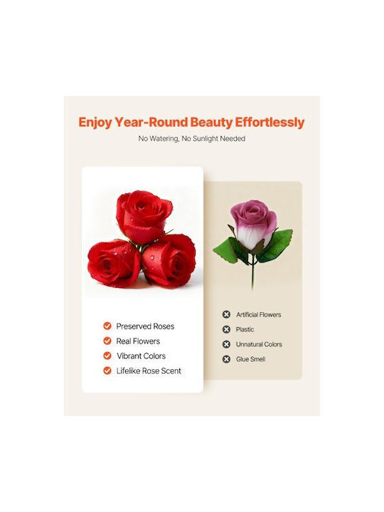 Vevor Allerbeste Getrocknete Rosen Herz Vevor Allerbeste Getrocknete Rosen Herz