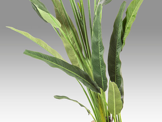 Palma Viajero 281751 Artificial Plant H240 – Τεχνητό Φυτό Ύψους 240 Cm