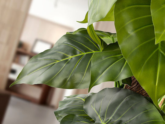 Taro 281126 Plantă Artificială H150 – Plantă Artificială Colocasia Esculenta Taro 281126 Plantă Artificială H150 – Plantă Artificială Colocasia Esculenta