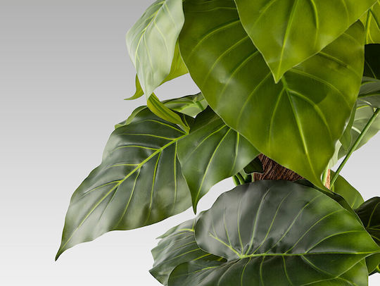 Taro 281126 Изкуствено Растение Височина 150 – Изкуствено Растение Colocasia Esculenta