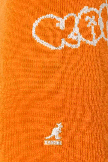 Beanie Unisex Beanie Knitted in Orange color
